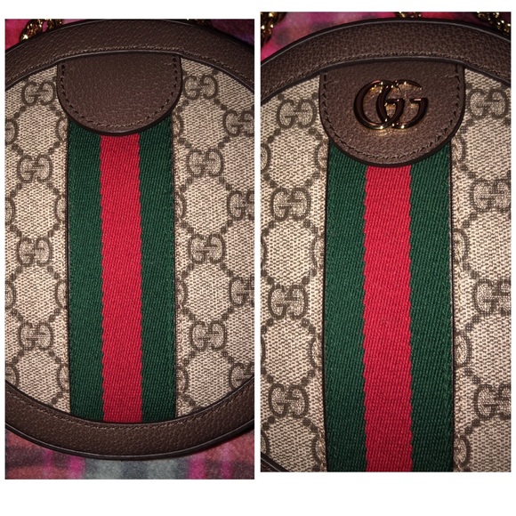 𝖮𝗉𝗁𝗂𝖽𝗂𝖺 𝖲𝗎𝗉𝗋𝖾𝗆𝖾 𝖱𝗈𝗎𝗇𝖽 𝖡𝖺𝗀 - Picture 5 of 8